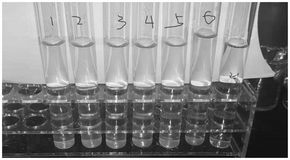 Inspection method for controlling magnesium salt limit in balance salt solution raw material calcium chloride