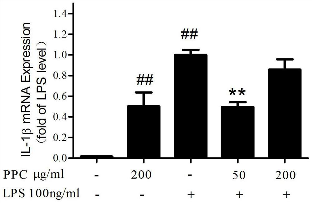 Application of saffron petal total polysaccharides in the preparation of anti-inflammatory drugs