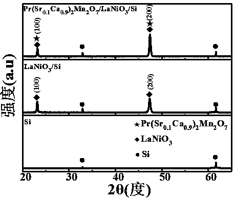 Method for preparing double-layer perovskite manganese oxide film material on monocrystalline silicon substrate through epitaxial growth