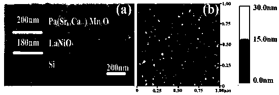 Method for preparing double-layer perovskite manganese oxide film material on monocrystalline silicon substrate through epitaxial growth