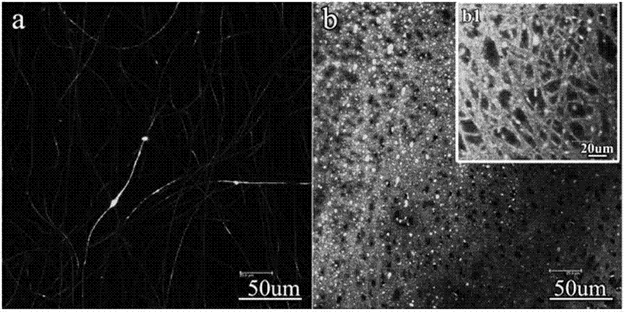 Fluorescence sensing material for Cu2+ and Fe3+ detection and preparation method and application thereof