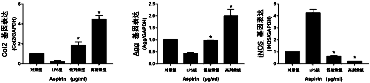 Application of aspirin in preparation of drugs for treating IVDD (intervertebral disc degeneration)