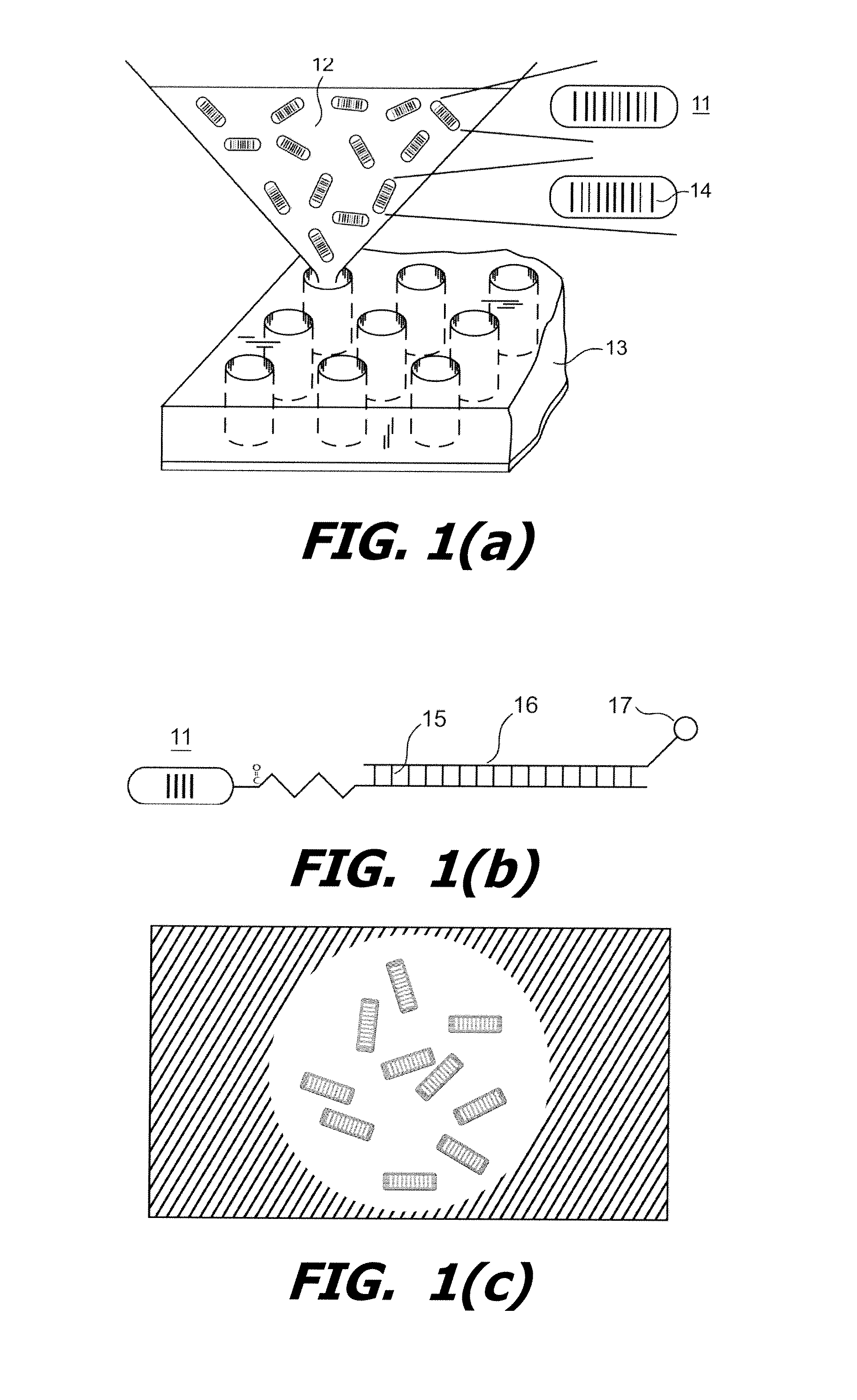 Apparatus and Method for Barcoded Magnetic Beads Analysis