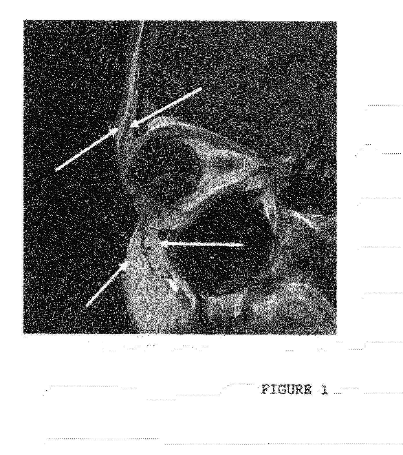 Extended Length Botulinum Toxin Formulation for Human or Mammalian Use
