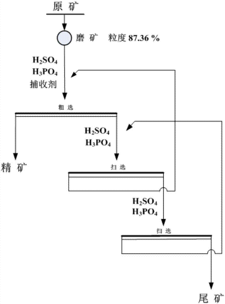 Calcium-magnesium collophane ore reverse flotation collector and preparation method thereof