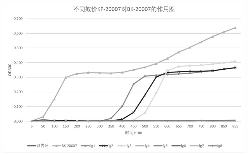 A highly lytic Klebsiella pneumoniae phage rdp-kp-20007 and its application