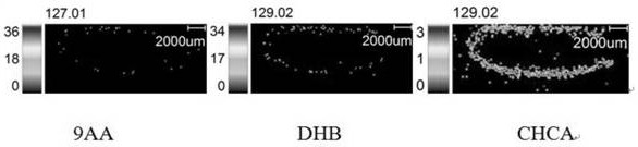 A method for mass spectrometry imaging of forchlorfenuron in melon tissue