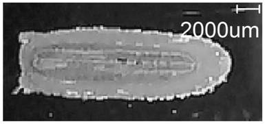 A method for mass spectrometry imaging of forchlorfenuron in melon tissue