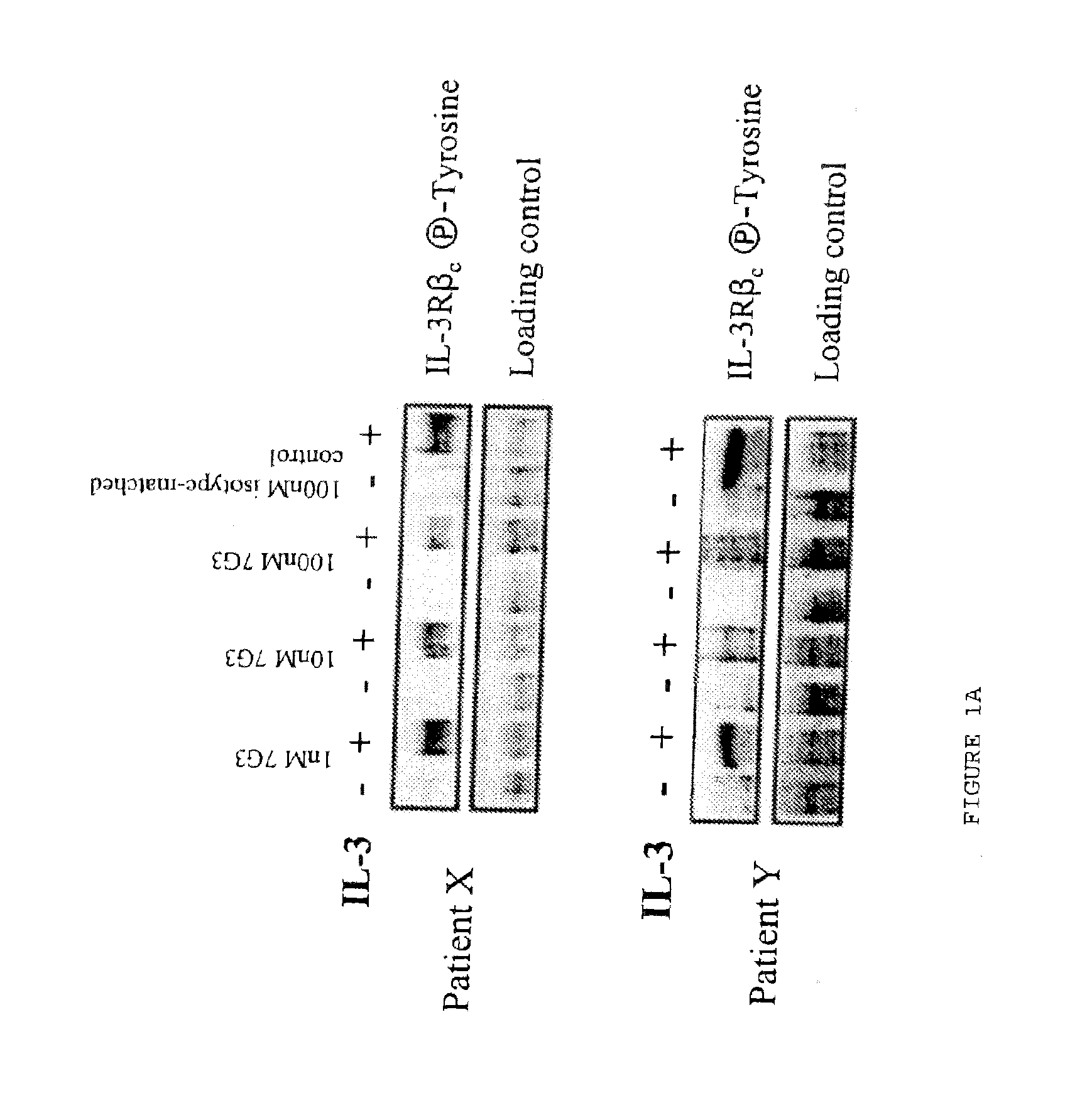 Method of inhibition of leukemic stem cells