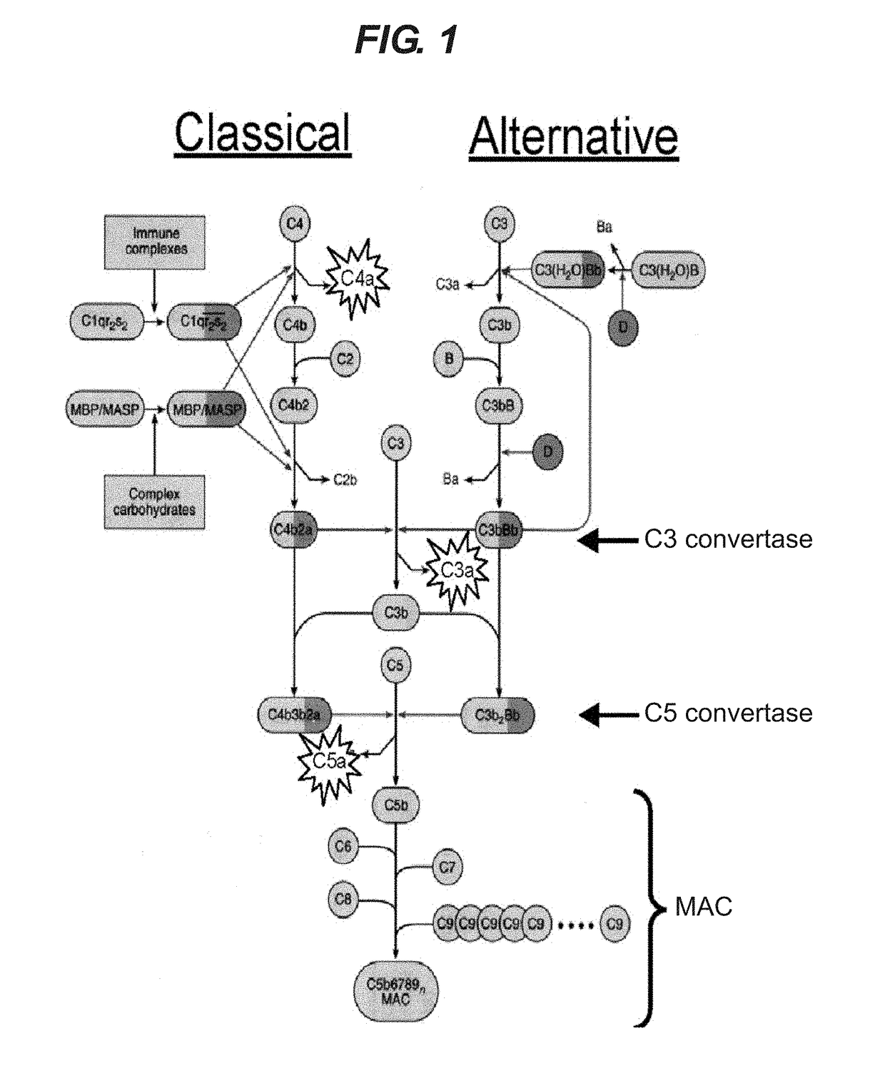 Method of treating respiratory disorders