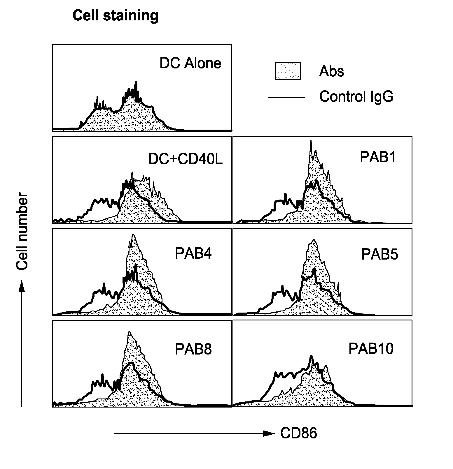 Activation of Human Antigen-Presenting Cells Through Dendritic Cell Lectin-Like Oxidized LDL Receptor-1 (LOX-1)