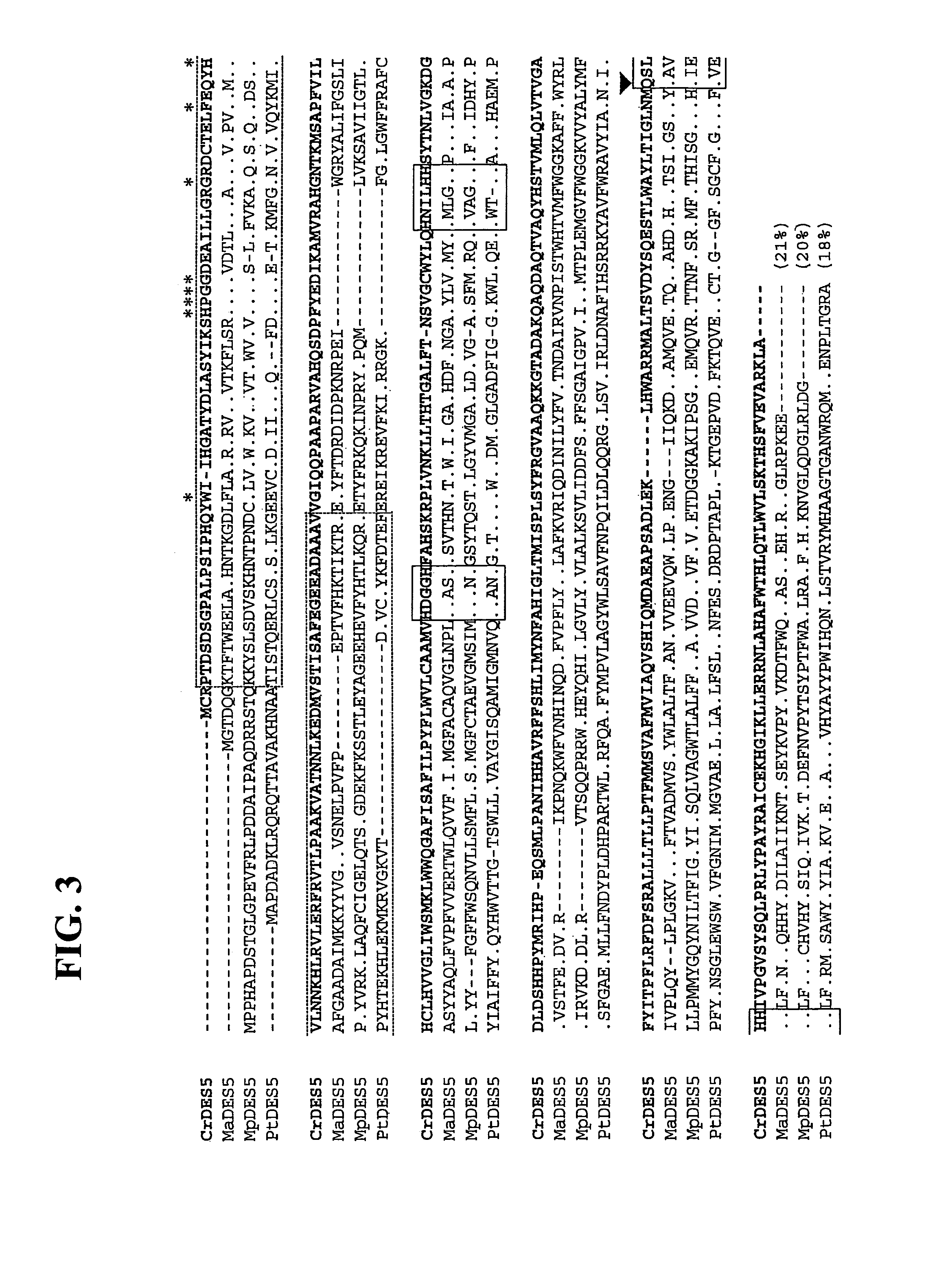 Polypeptide having Δ5 desaturating activity, polynucleotide coding for the polypeptide, and use thereof