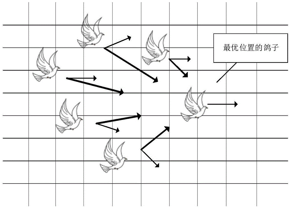 Target tracking method based on pigeon intelligent optimization Kalman filtering parameters