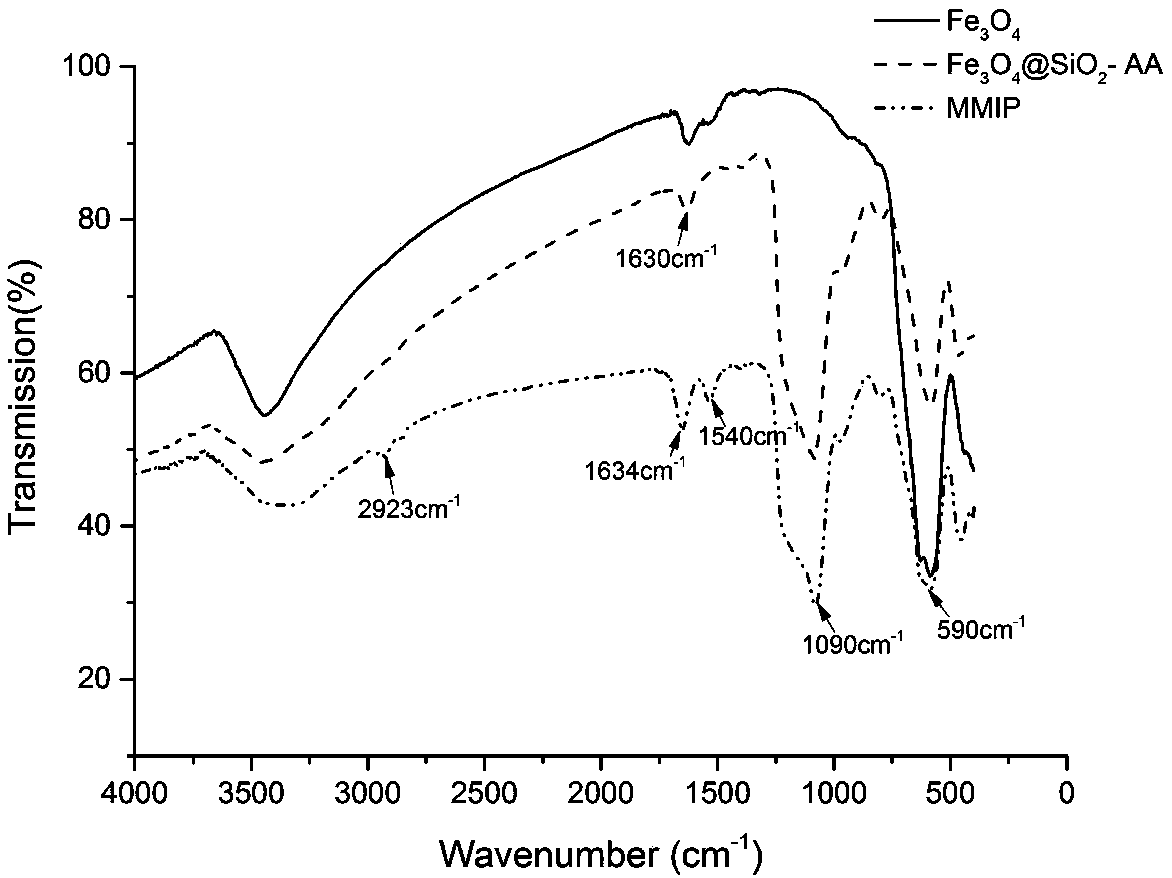 Molecular imprinted magnetic nanoparticles capable of specifically adsorbing bovine hemoglobin