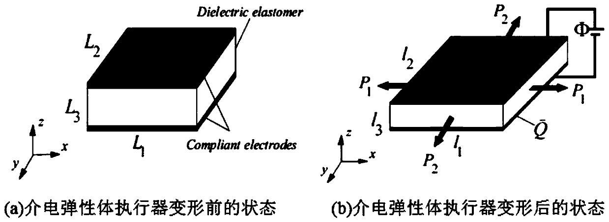 Soft robot active disturbance rejection control method based on dielectric elastomer actuator