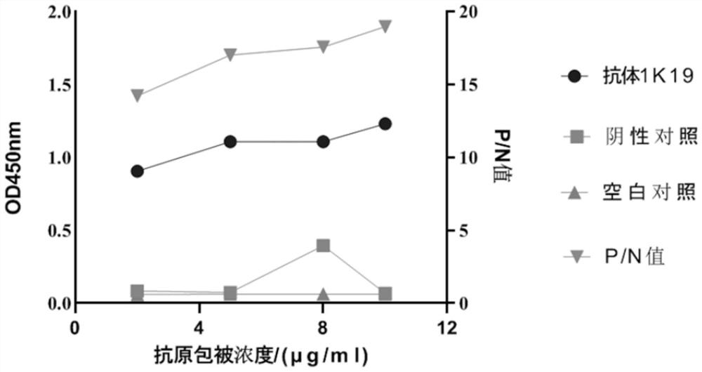 Indirect ELISA method of clostridium perfringens beta1 toxin antibody