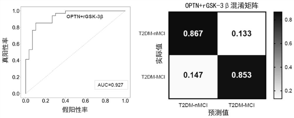 Biomarker and kit for predicting MCI risk of type 2 diabetes patients and application thereof