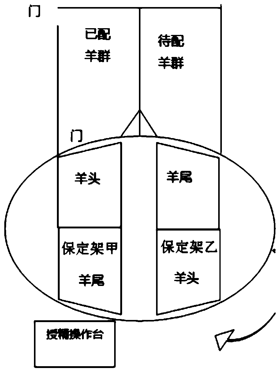 Rotary artificial insemination table control circuit for sheep