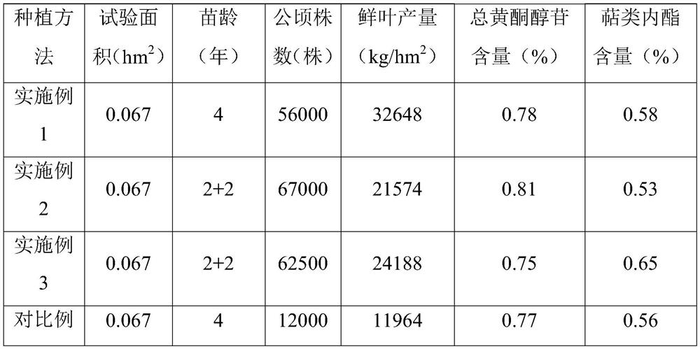High-quality and high-yield cultivation method for leaf gingko in low-mountain hilly land