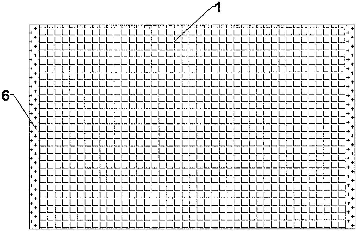 Anti-microbial carpet