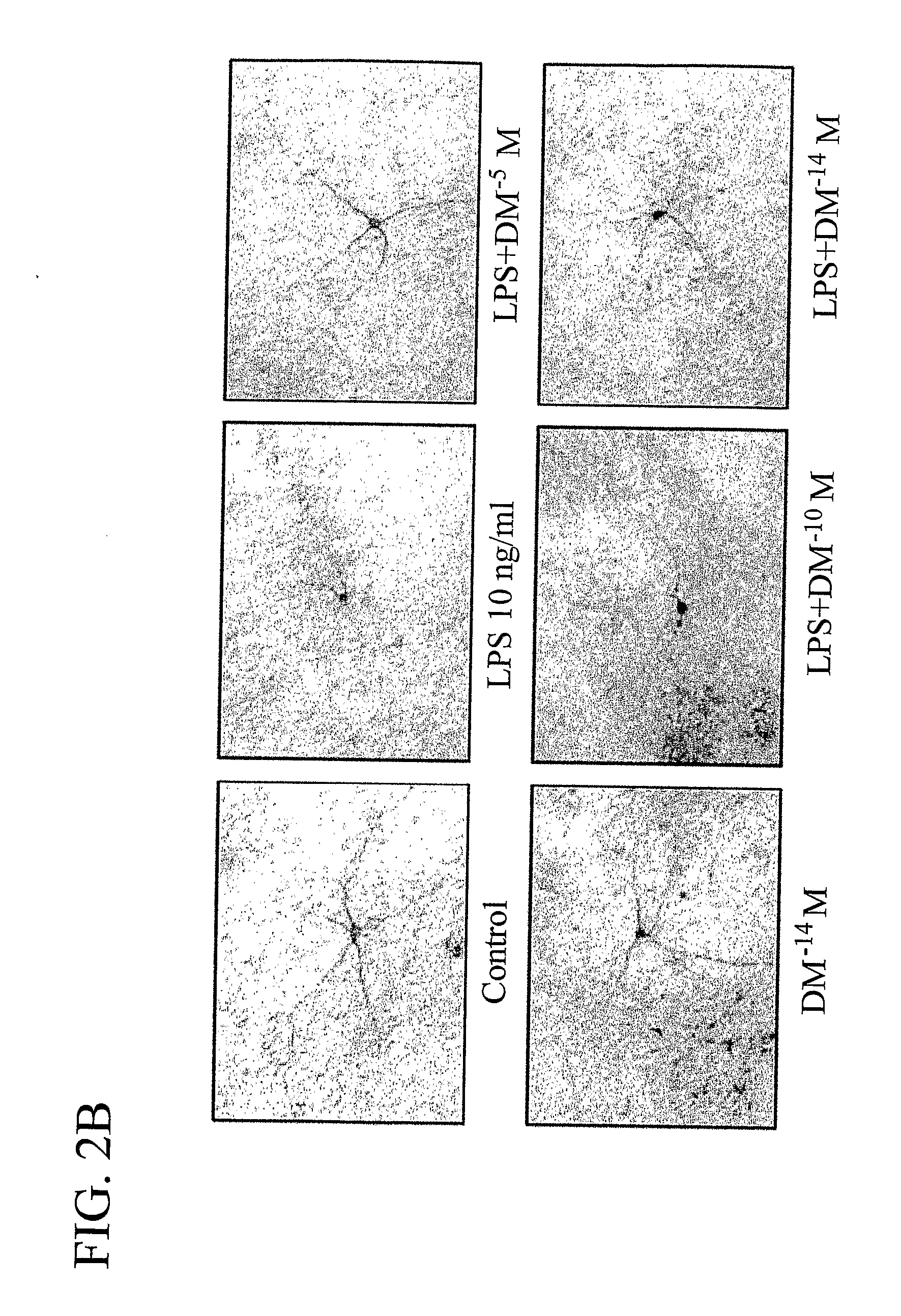 Methods Related to the Treatment of Neurodegenerative and Inflammatory Conditions
