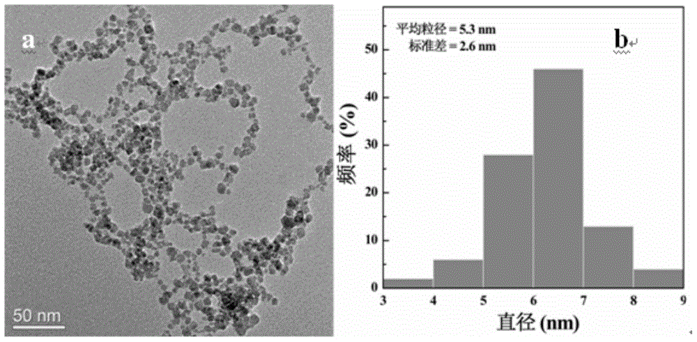 Preparation method of polyglutamic acid PGA-coated superparamagnetic iron oxide nanoparticle