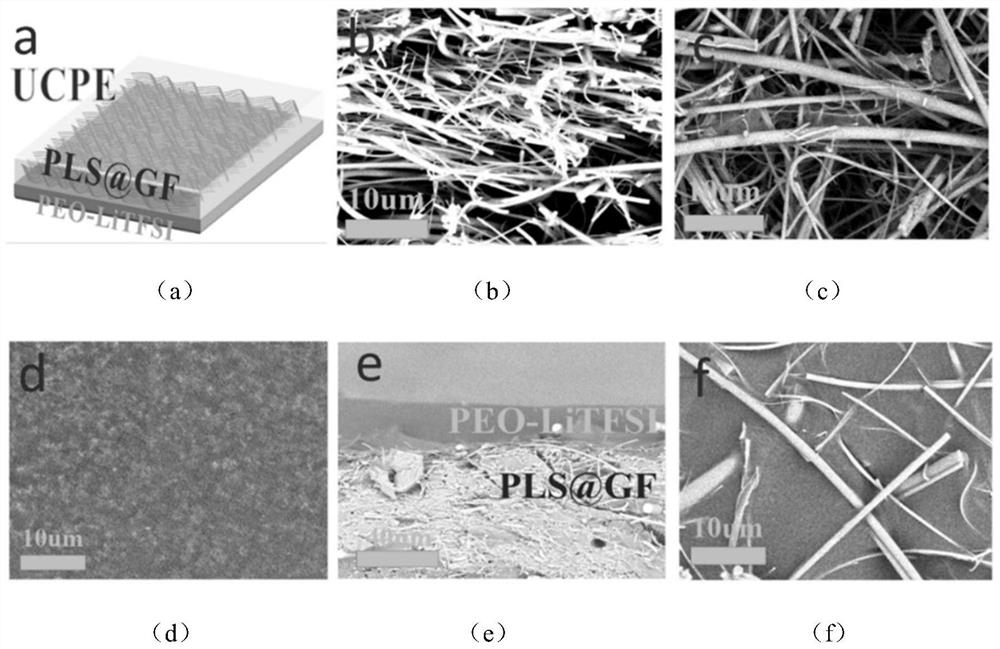 Preparation method and application of succinonitrile-based double-layer composite polymer electrolyte