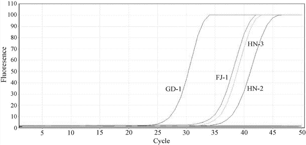 Detection and application of prawn enterocytozoon hepatopenaei trehalose-6-phosphate synthase gene