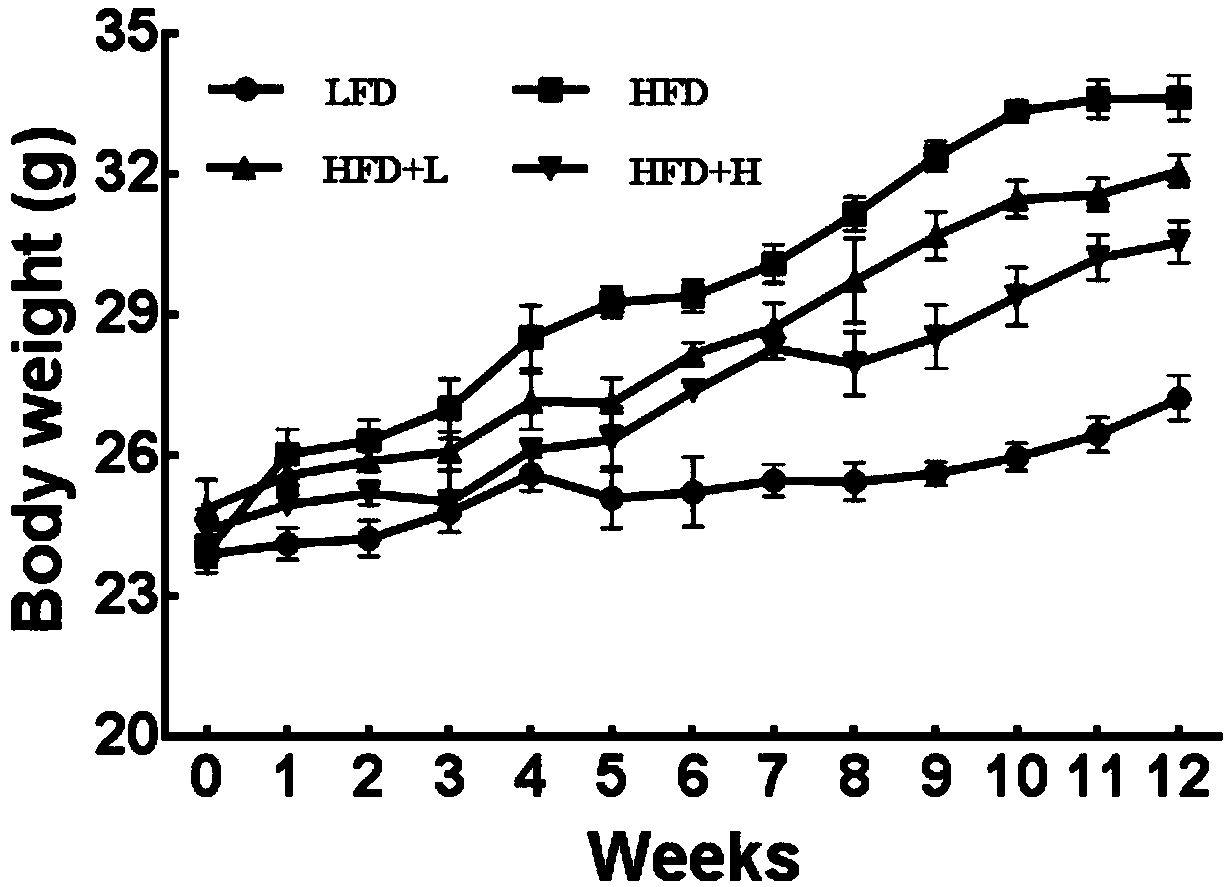 Weight loss application of ethanol extract from bean taro leaves