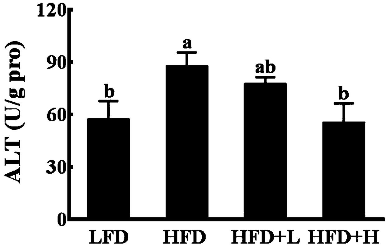 Weight loss application of ethanol extract from bean taro leaves