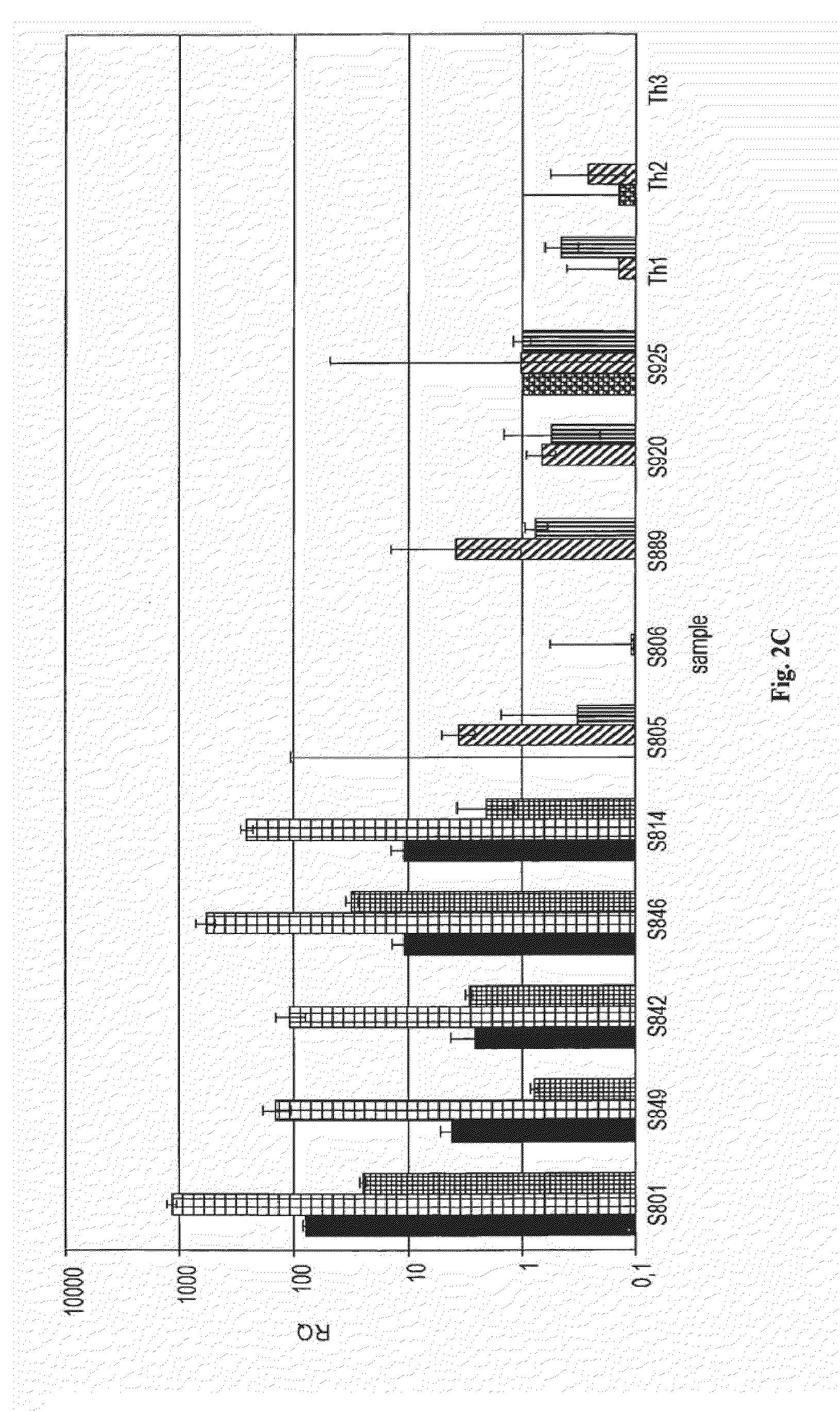 Microrna-based methods and compositions for the diagnosis, prognosis and treatment of tumor involving chromosomal rearrangements
