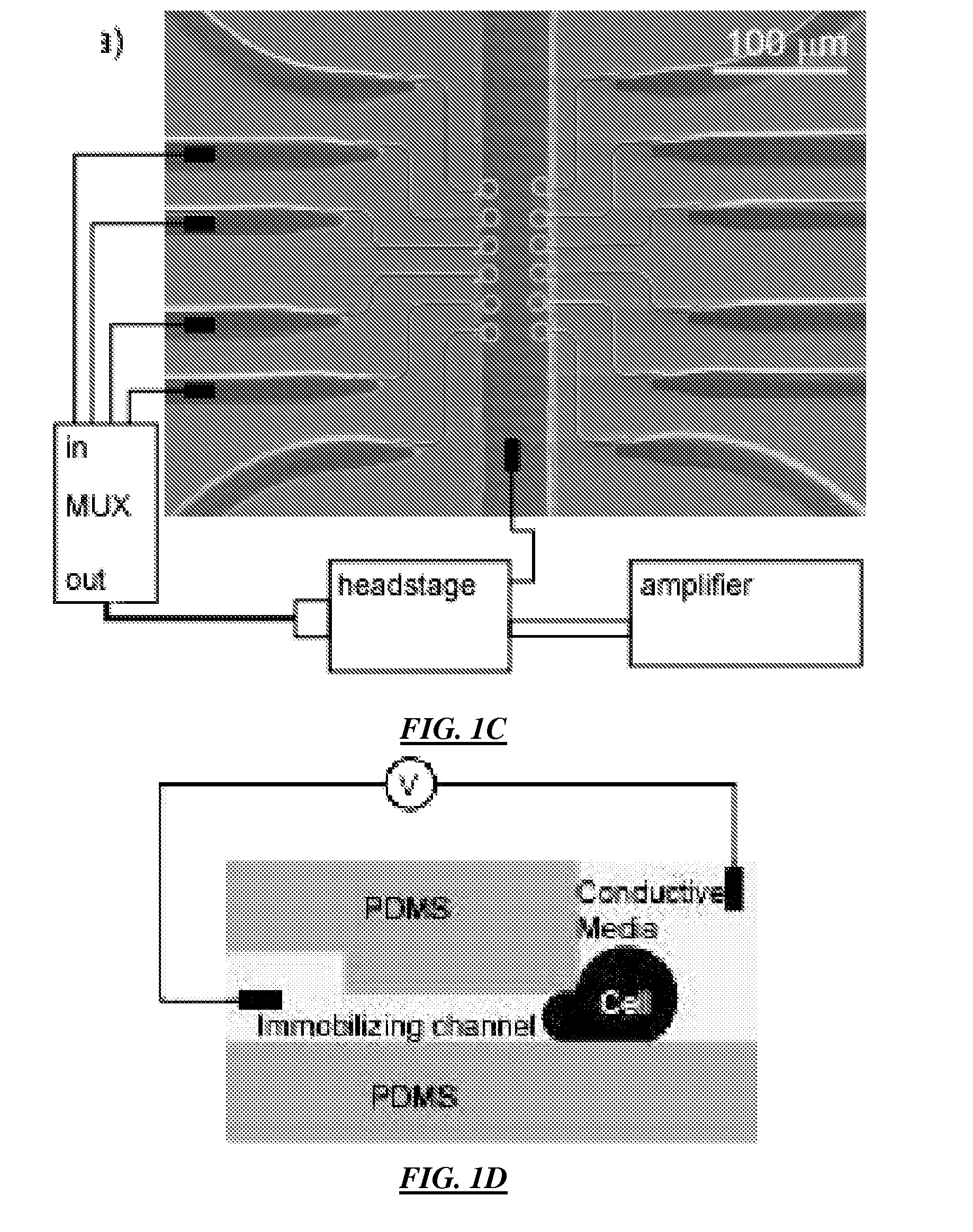 Method and apparatus for integrated cell handling and measurements