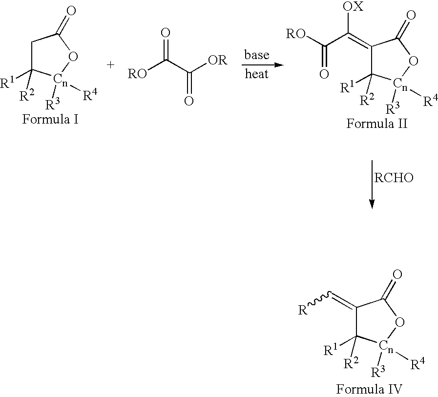 Process for the preparation of a-methylenelactones and a-substituted hydrocarbylidene lactones