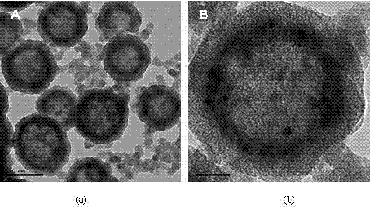 Preparation method for mesoporous silicon oxide hollow microspheres with magnetic nanoparticles embedded in shell layers