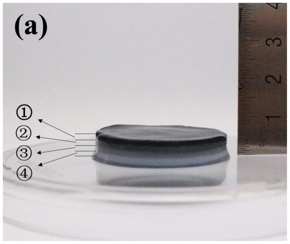 Graphene/bacterial cellulose composite material with gradient structure and preparation method