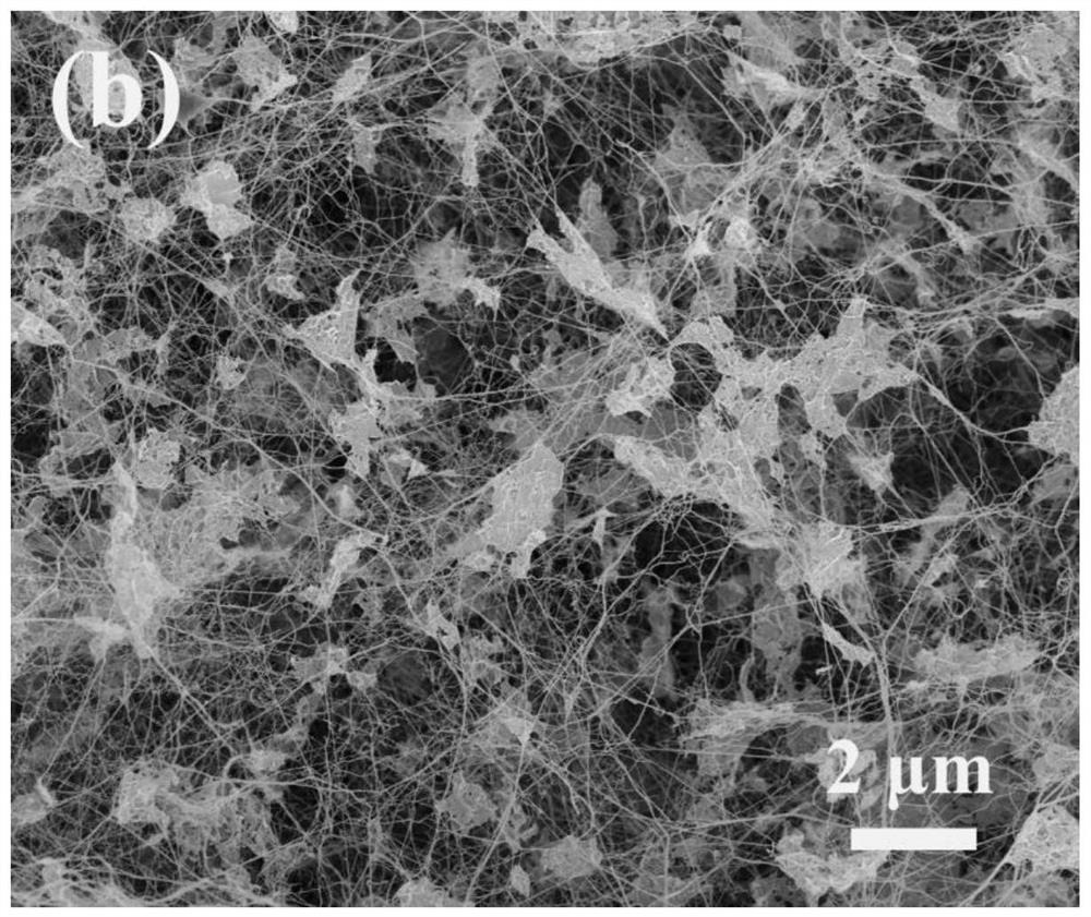 Graphene/bacterial cellulose composite material with gradient structure and preparation method