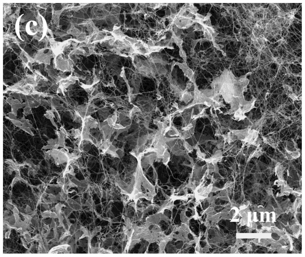 Graphene/bacterial cellulose composite material with gradient structure and preparation method