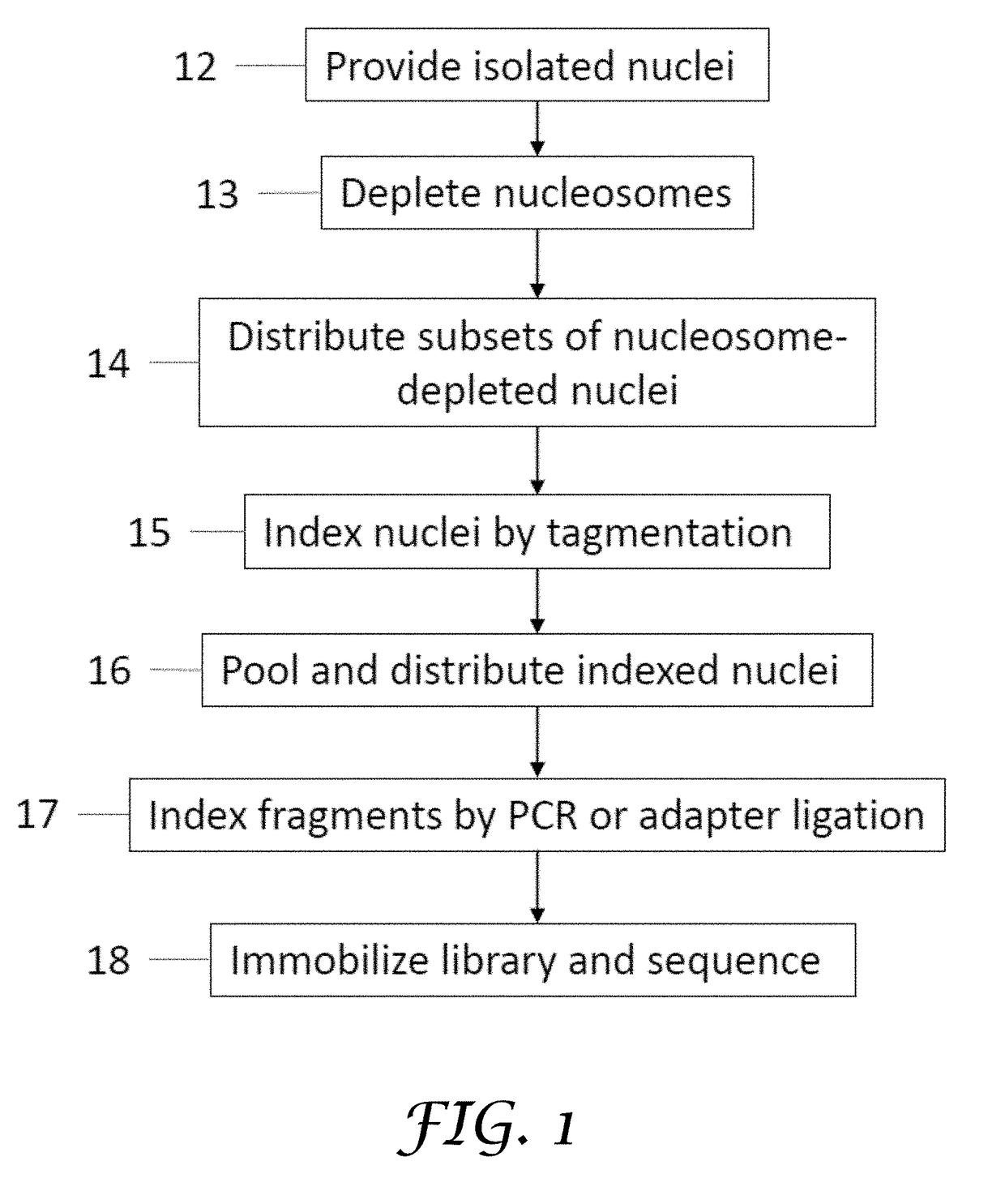 Single cell whole genome libraries and combinatorial indexing methods of making thereof