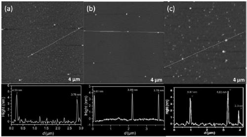 Regulation and preparation method and application of multicolor fluorescent carbon dots