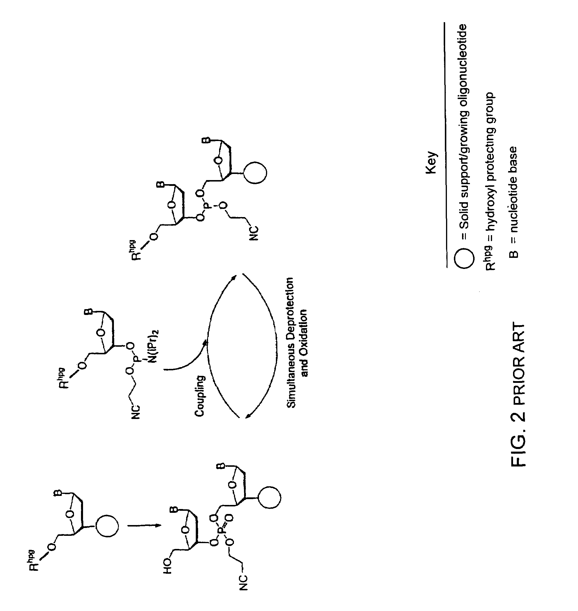 Method for polynucleotide synthesis