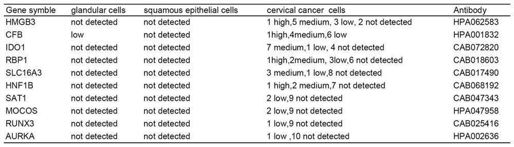 Molecular markers for screening and diagnosing early stage of cervical lesion and application of molecular markers