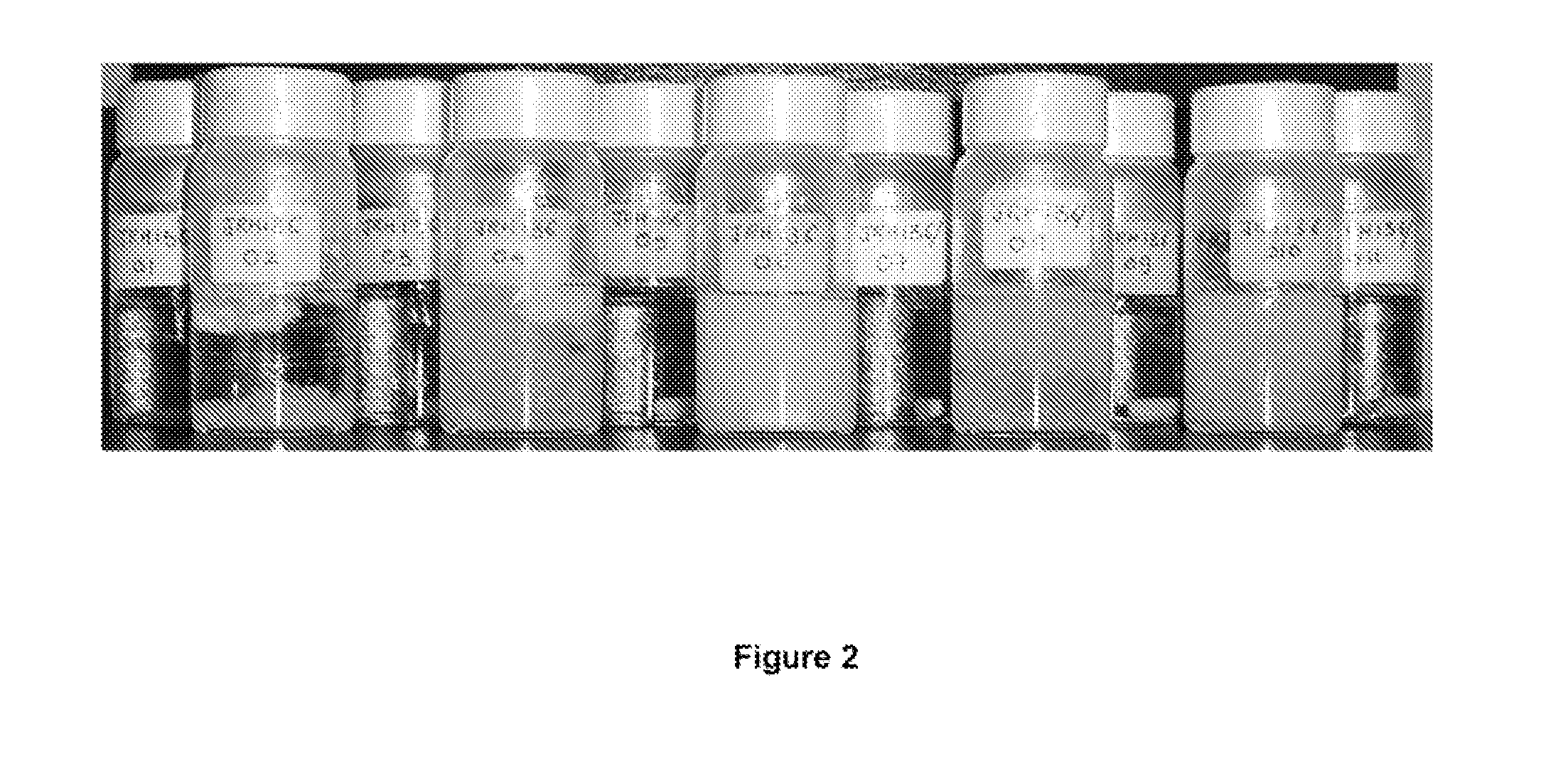 Switchable Anionic Surfactants and Methods of Making and Using Same
