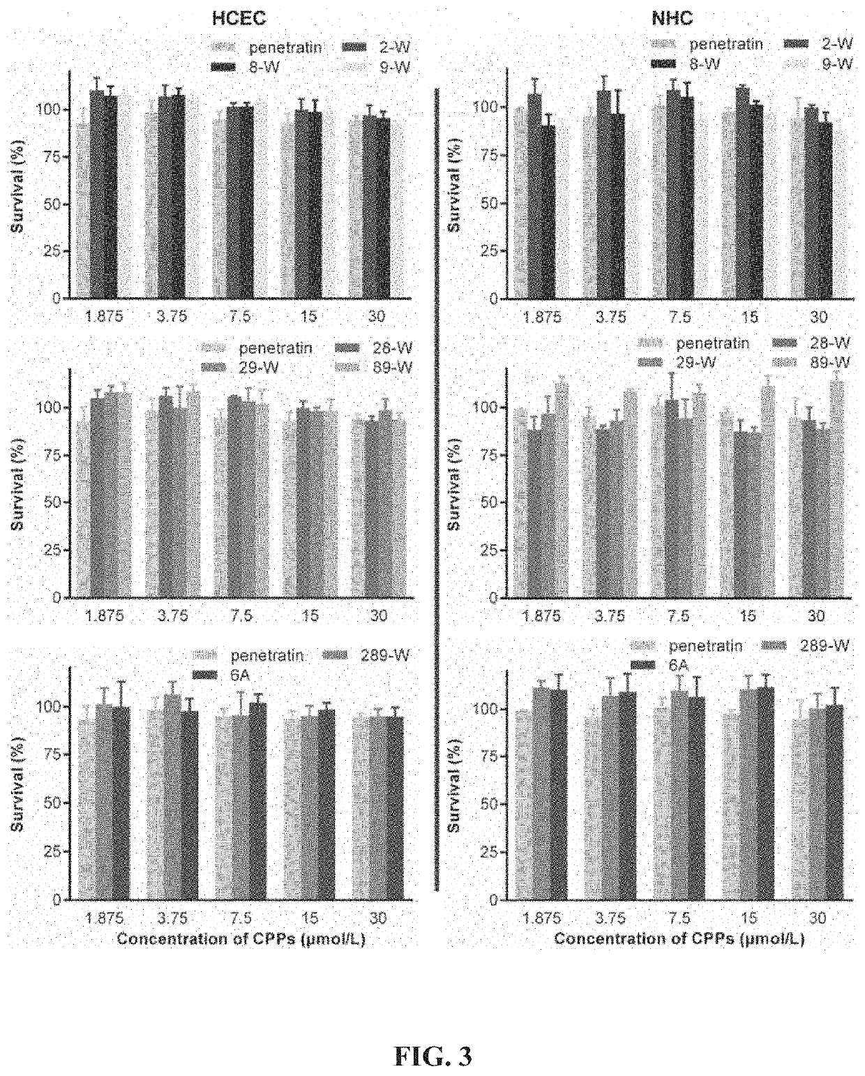 Polypeptide-based ocular absorption enhancer and application thereof