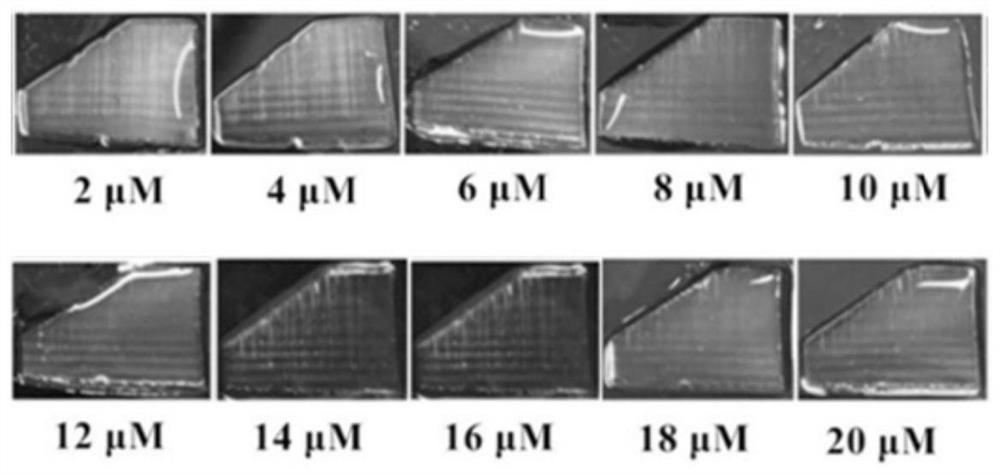 Preparation method and application of molecularly imprinted photonic crystal for detecting sulphaguanidine