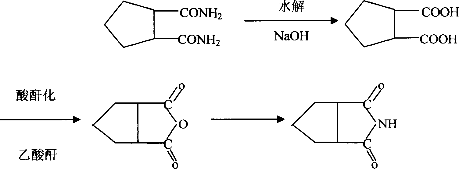 Cyclopentane1,2-diimide preparation method