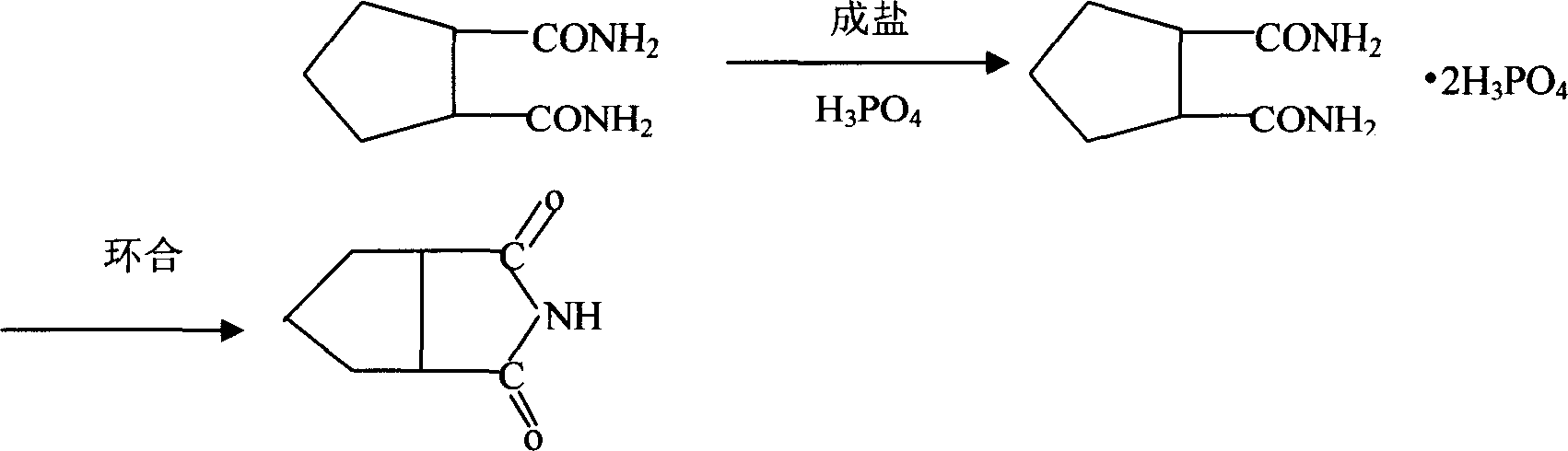 Cyclopentane1,2-diimide preparation method