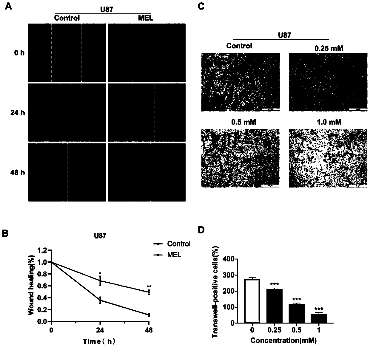 Application of miR-6858 in preventing and treating glioma through melatonin