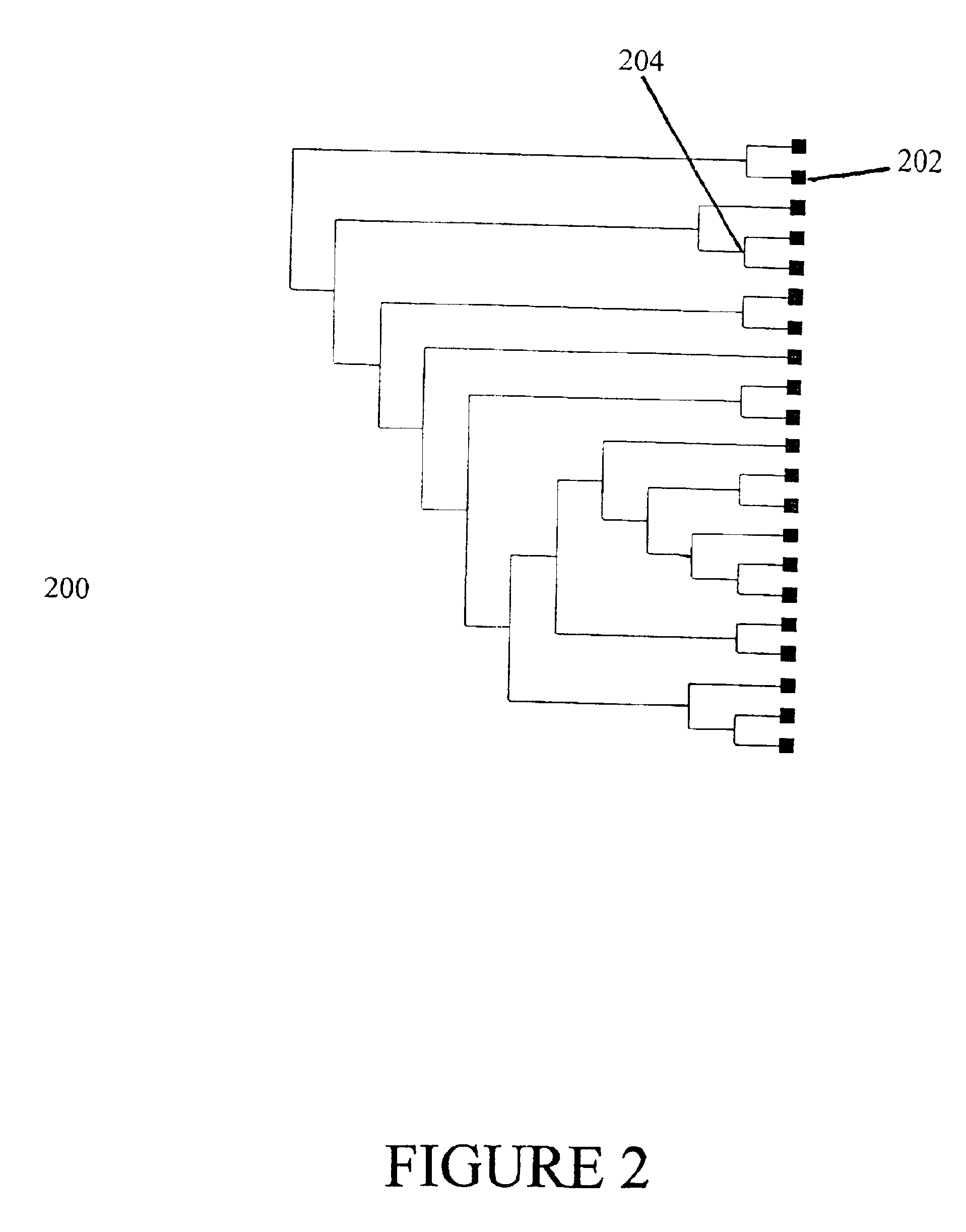 Method for identifying polymorphic markers in a population