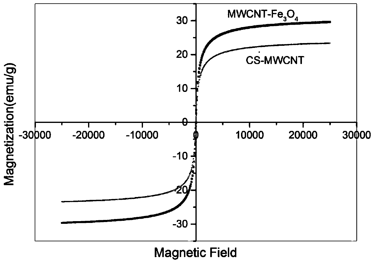 Magnetic nano composite material as well as preparation and application thereof in food detection