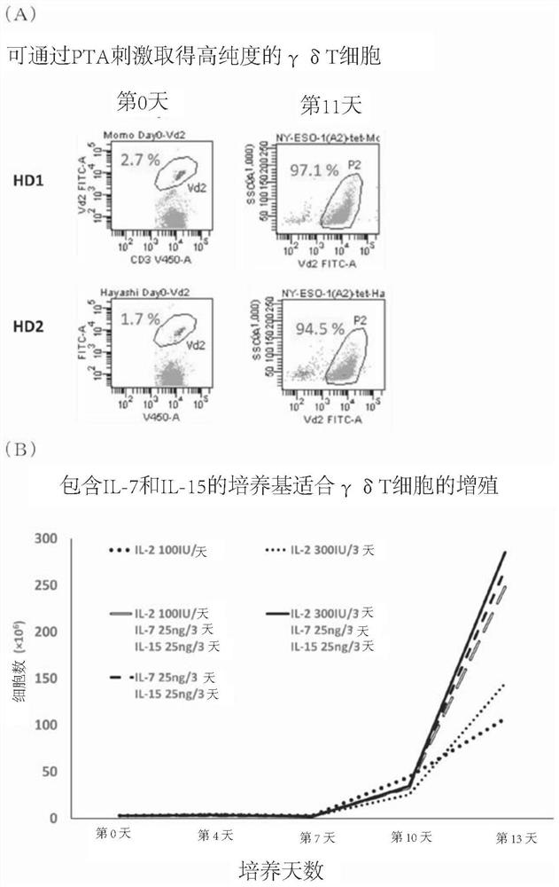Method for introducing gene into [gamma] [delta]-type T cell